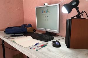 Дистанционное обучение. Как это будет работать в России