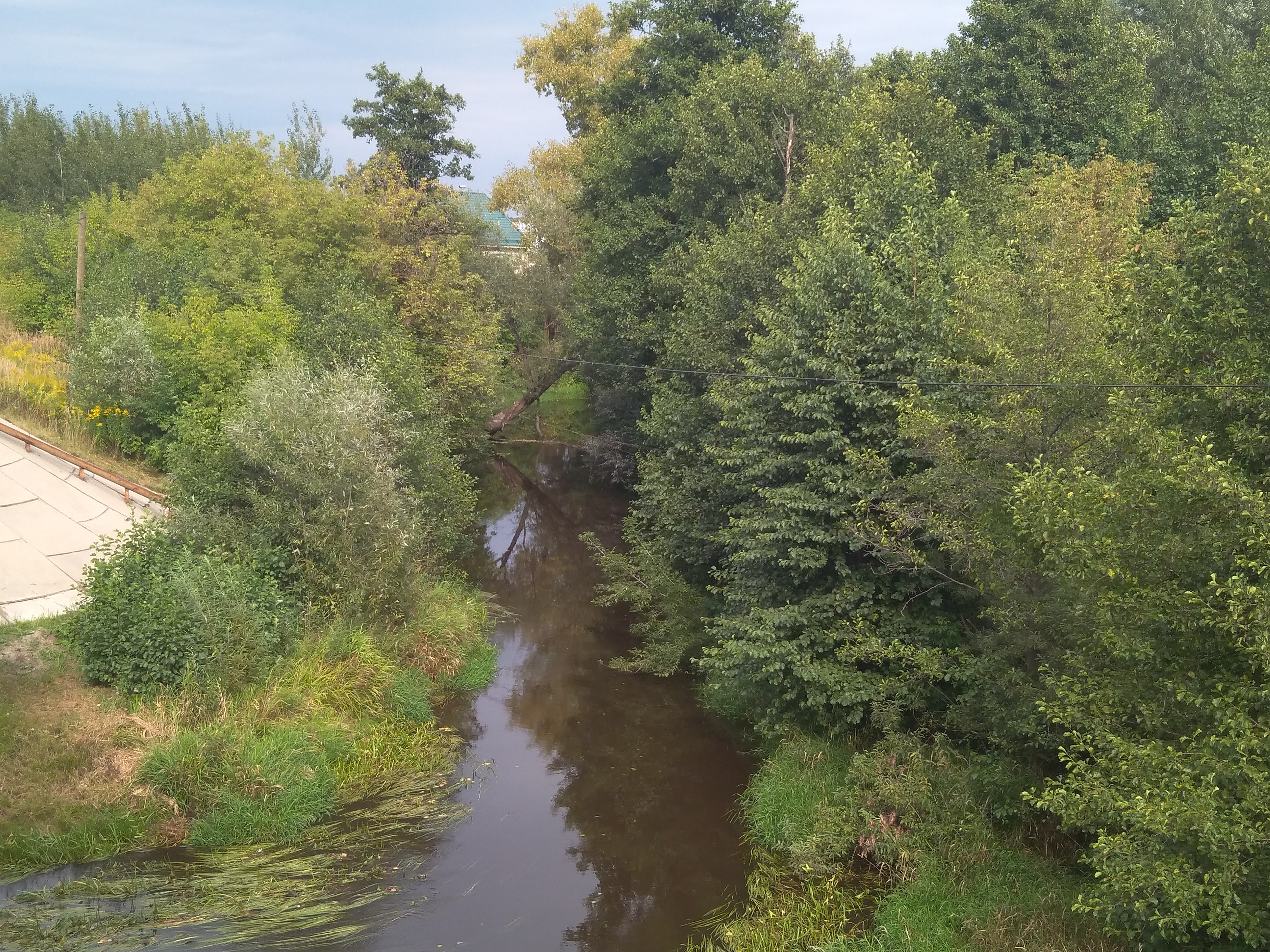 Росприроднадзор обязал Борский водоканал возместить ущерб за сброс стоков в Везлому 