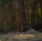 Ход строительства дома 3 в ЖК GloraX Экосити Премиум -