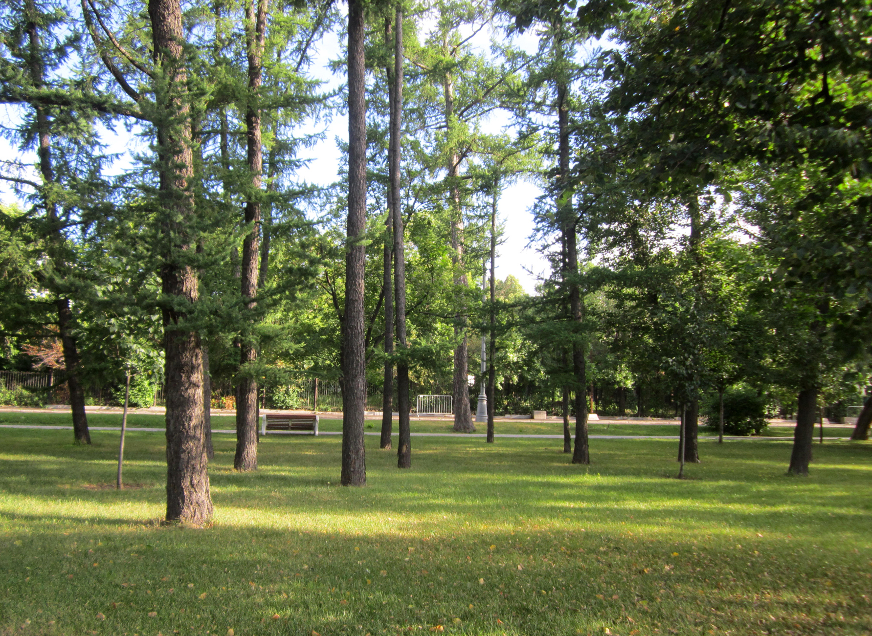 В Светлоярском парке Нижнего Новгорода высадят четыре тысячи деревьев - фото 1