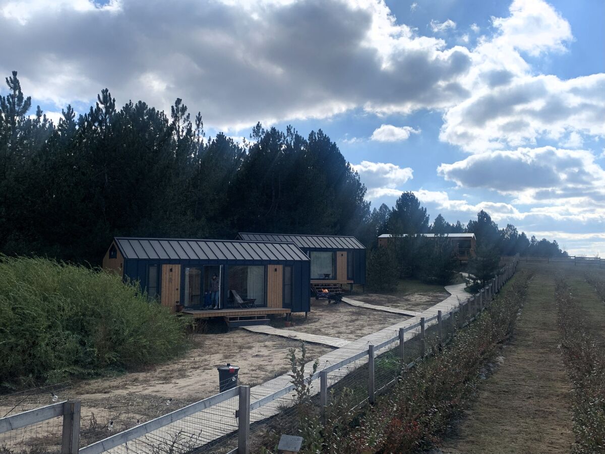 Ближе к природе: как привычки путешественников меняют сферу туризма на Дону - фото 2