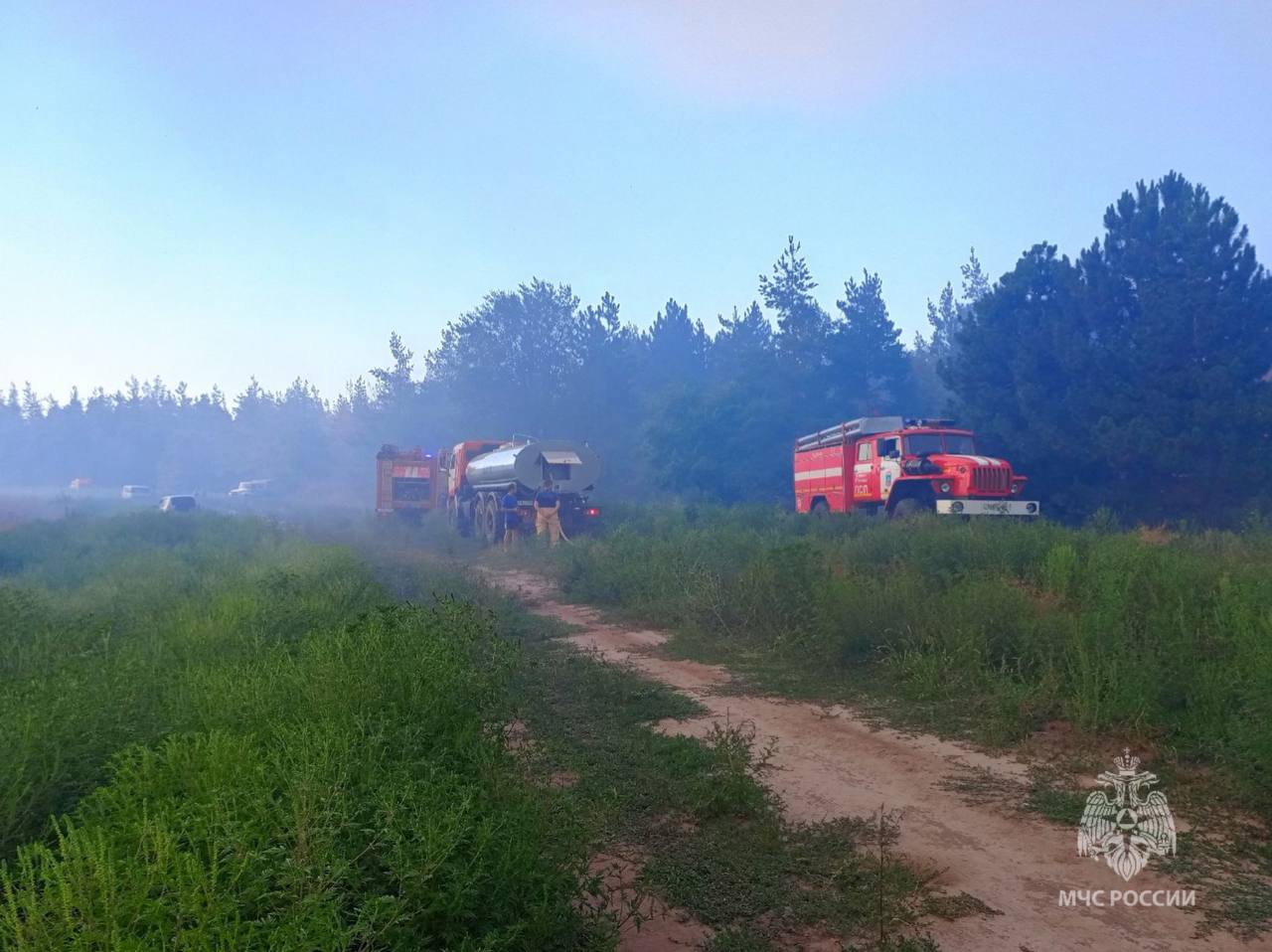 В Каменском районе Дона потушили ландшафтный пожар на 25 га - фото 1