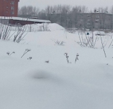 Ход строительства дома 28/1 в ЖК Расцветай на Приморской -