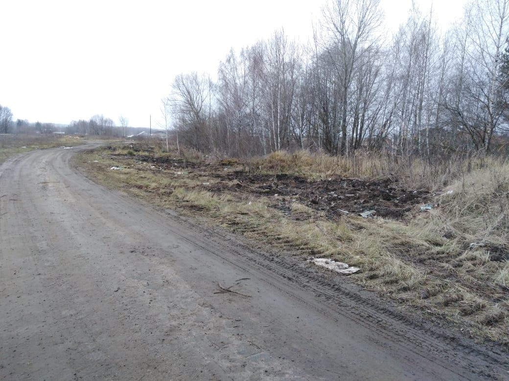 Почти 500 стихийных свалок убрали в Нижегородской области - фото 1