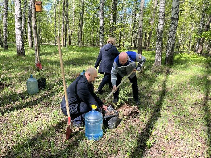 В нижегородском парке «Швейцария» посадили 20 елей в рамках акции «Сад памяти» - фото 1