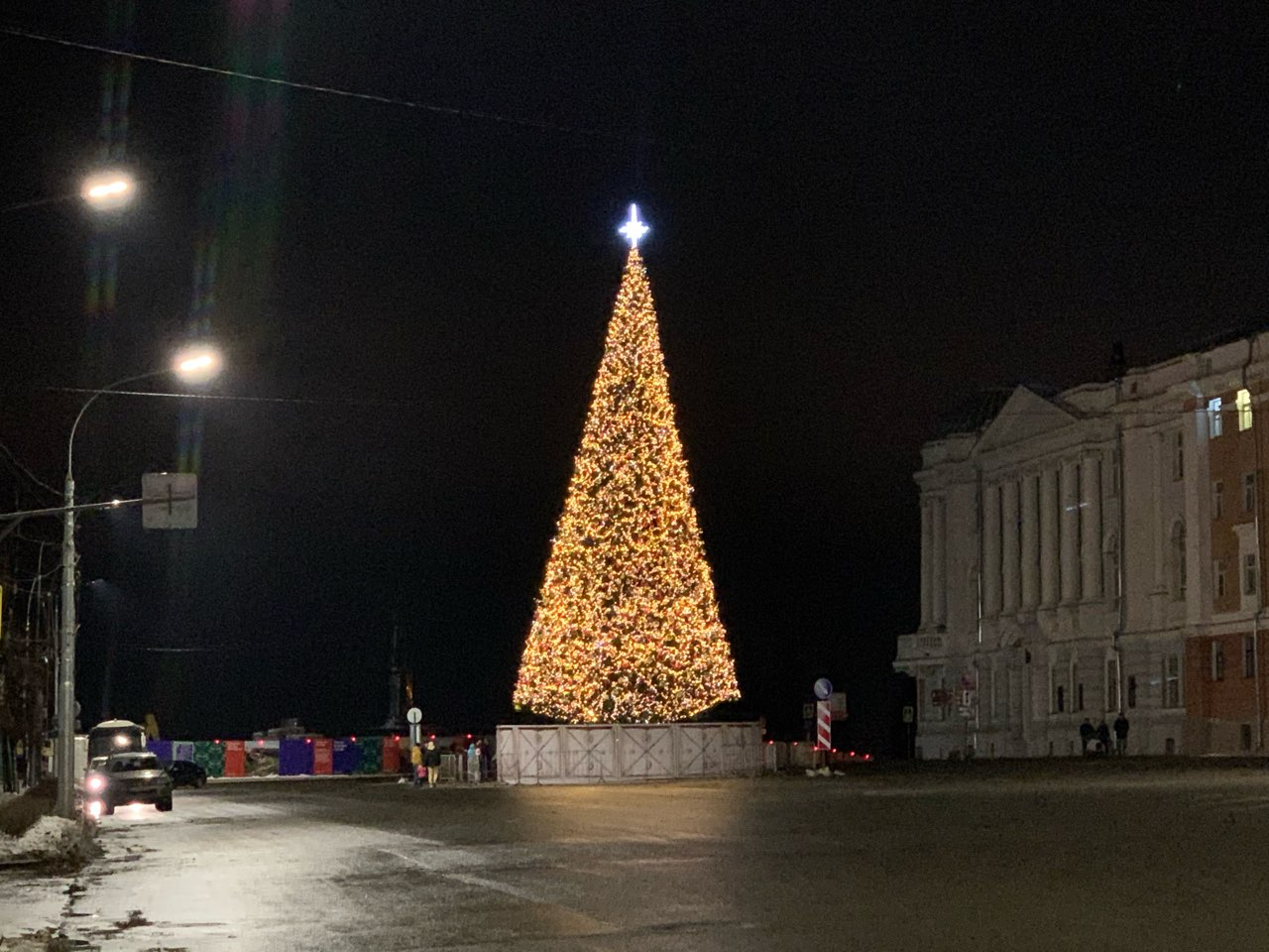 Новогоднюю ель закупят для Нижнего Новгорода за 3,6 млн рублей    - фото 1