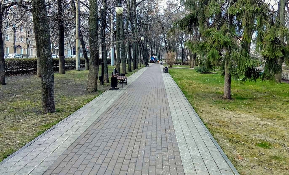 Карантинная весна в Воронеже: где и как коммунальщики наводят порядок  - фото 1