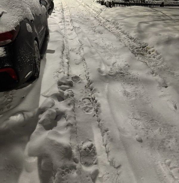 Шалабаев раскритиковал ДУКи за плохую уборку снега после многочисленных жалоб - фото 1