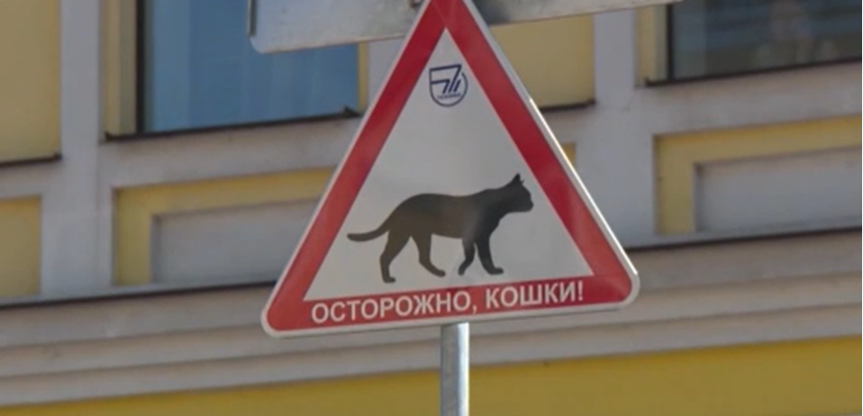 Дорожный знак «Осторожно, кошки!» установили в центре Нижнего Новгорода - фото 1