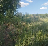 Ход строительства дома 7 в ЖК Расцветай на Зорге -